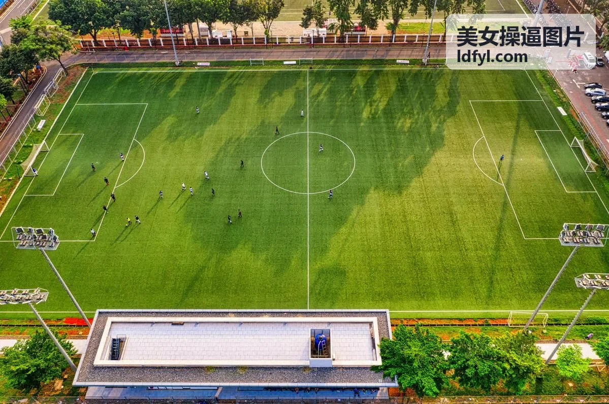 美女操逼图片高清图集封面