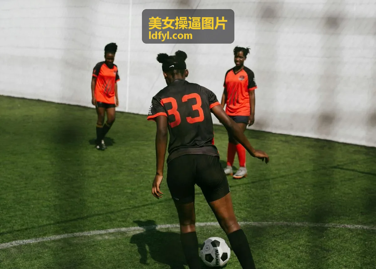 美女操逼图片成人专题封面
